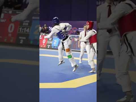 Top skill fighters in martial arts(taekwondo)💥💥 #taekwondo #fighting #kungfu