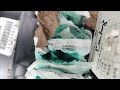 Not Mice But Ants in Rodent Bait Station in Piscataway, NJ