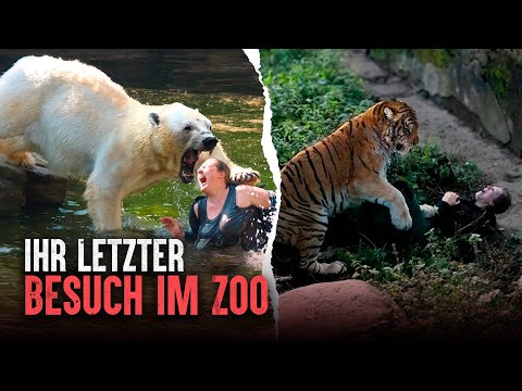 The deadliest zoo attacks: When animals bite back