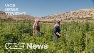 Inside Lebanon’s Illegal Weed Business