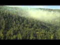 Making Love on the Mountain (Flatland Version ...