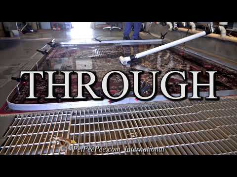 Wie entfernt / reinigt der PetPeePee® den Uringeruch von natürlichen Farben auf Orientteppichen?