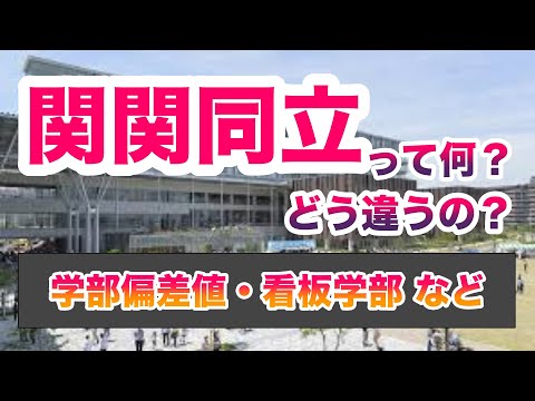 現代経済学科 関関同立の違い【ゆっくり大学受験】