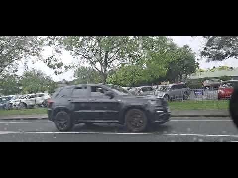 Green Bay Auckland New Zealand 🇳🇿#travel  #work #explorenewzealand