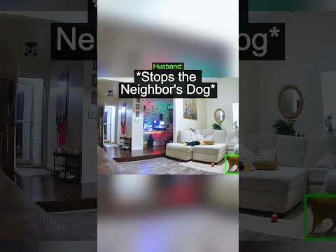 Their Neighbor Walks the Dog Without a Leash