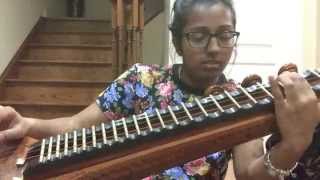 Omana Penne Cover (Veena)