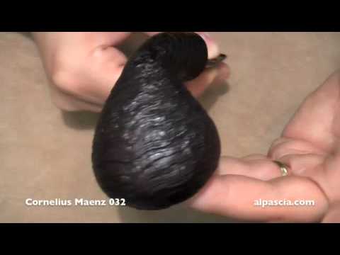 pipa Cornelius Maenz 032 - smoking pipe