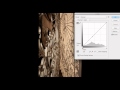 Gauge and Adjust the Light in Your Photoshop Image with Ben Willmore