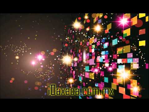 Albina Mango - Impulse Schaste