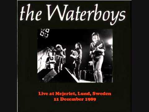 waterboys - and a bang on the ear live in sweden 89.