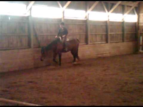 VID 00001-20100519-1342.3GP