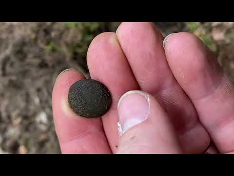 Sondeln Metalldetecting/ Mit Sondelbreiti, Zug Steiner, Herr Django, Heimatsondler und Detecting Dan