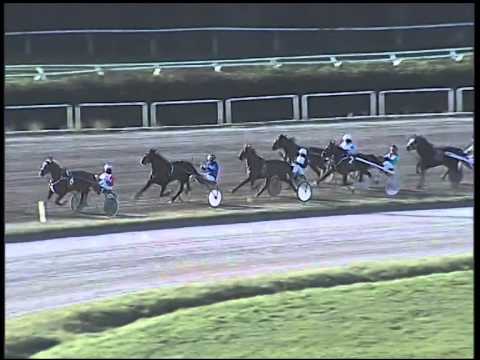 Trotto 13/01/2015 - 1° corsa