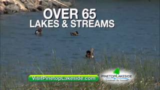 preview picture of video 'Beat The Heat In The Cool Pines Of Pinetop-Lakeside Arizona'