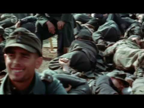 Historie SS - 6/6 Hon na zločince, dokument