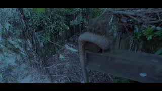 Download lagu BERHANTU..!!!!! BANGLO di atas bukit tunku!! mp3