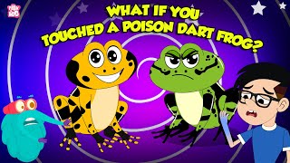 Deadliest Frog | What Happens if you Touch a Poisonous Dart Frog? | How to Survive | Dr. Binocs Show