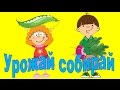 Урожай собирай. Праздник осени 