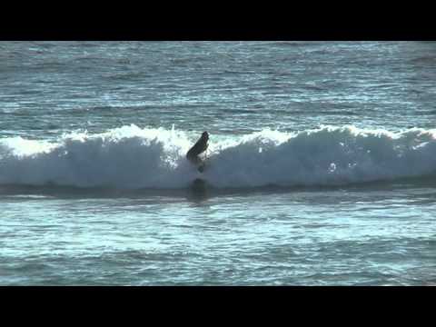 wednesday morning d bah winter 2011