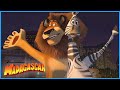 Marty And Alex Best Of Friends DreamWorks Madagascar