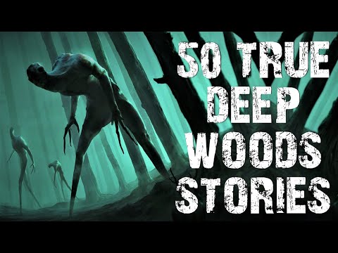 50 TRUE Disturbing Deep Woods & Middle Of Nowhere Scary Stories | Horror Stories To Fall Asleep To