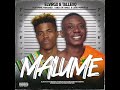 TallexQ Chicco Malume 2 0 Ft Makhadzi Kabza De Small Lxrd Mordecai