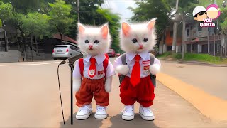 Download lagu RAHMATUN LIL'ALAMEEN ANIMATED CATS SINGING | COLORFUL CATS VERSI HADROH SHOLAWAT KUCING | YouQaria😻 mp3