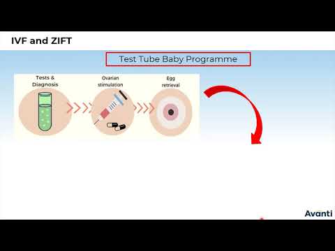 12B04.5 CV1 IVF and ZIFT