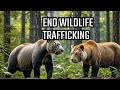 Can This New Technology End Wildlife Trafficking