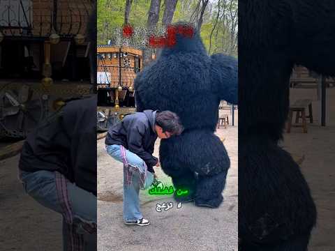 😱 اعتقدت صوفيا أنه غوريلا حقيقي... لكن النهاية صدمت الجميع! 🦍😲 #shorts