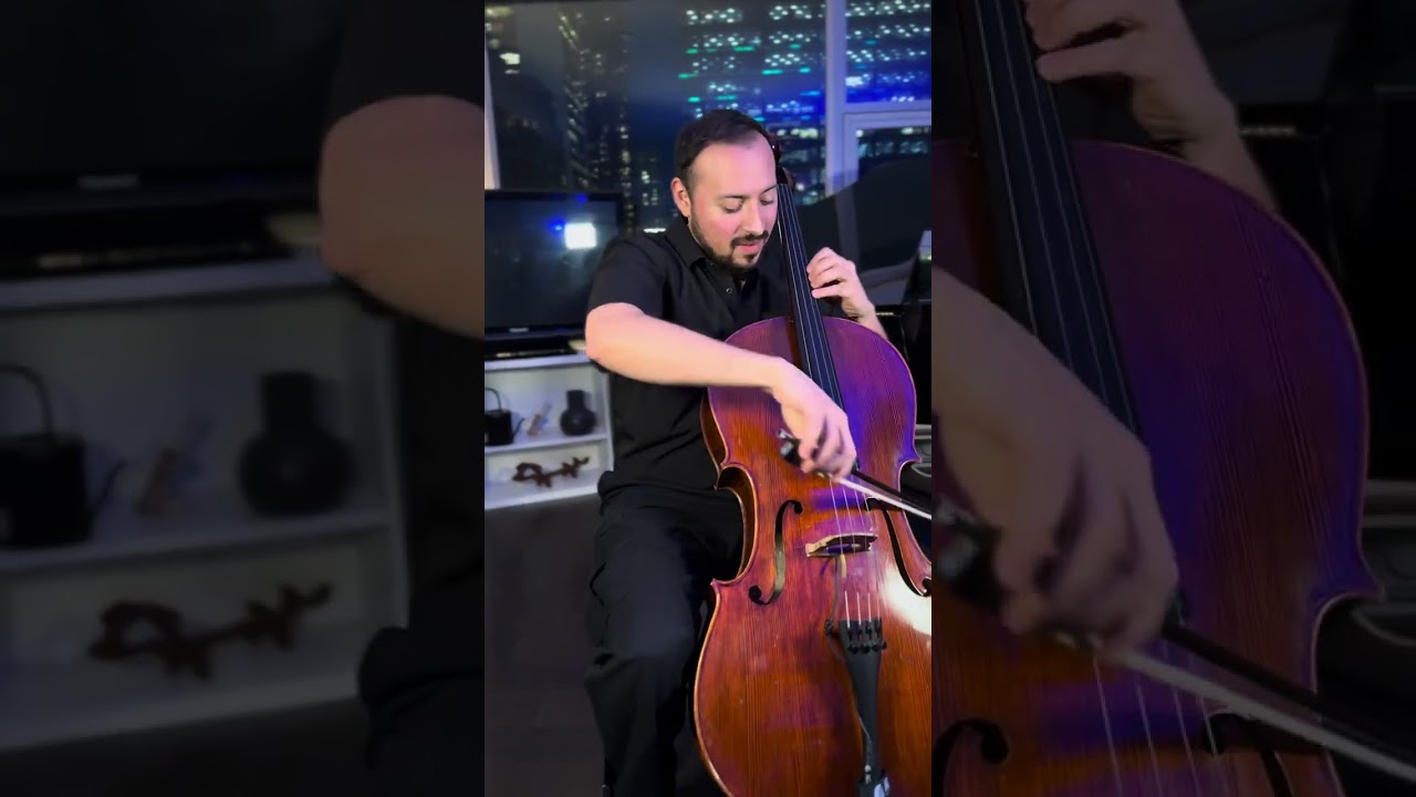 Promotional video thumbnail 4 for String Theory Ensemble | Vancouver BC