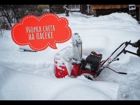 🔥🔥🔥Чистим снег❄️бензоснегоуборщиком на ПАСЕКЕ🐝