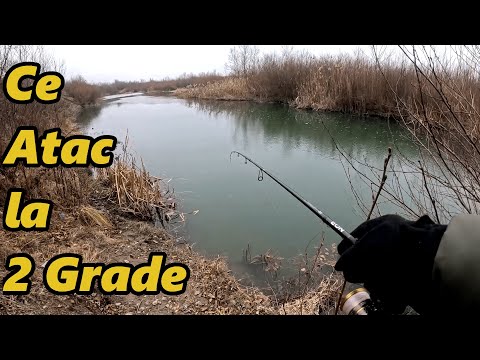 Am Pescuit Iarna la 2 Grade, Am Prins Clean si Biban!