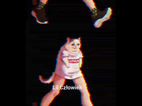 Chryzantemy złociste + mo bamba + over the horizon