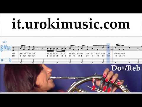 Lezioni di Corno Silvestre Dangond Nicky Jam - Cásate Conmigo Tutorial Spartito Parte#2 um-i276