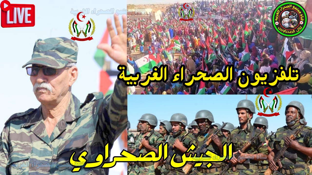 🟡نشرة ألأخبار#جبهة_البوليساريو التلفزيون الوطني الصحراوي 🇩🇿 🇪🇭#الصحرا?