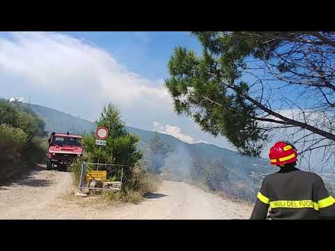 Bordighera, incendio boschivo a Montenero: elicottero in azione