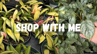🪴My Plant Shopping Mistake & Finding the Best Pest Treatments 🦟