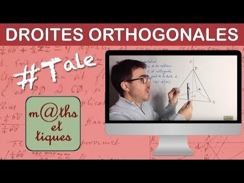Démontrer que deux droites sont orthogonales - Terminale
