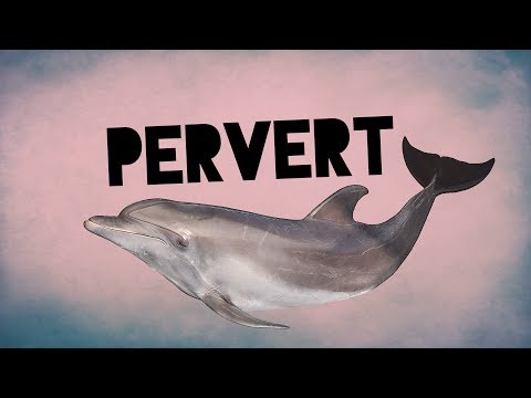 An amazing fact about sex of animals, including animals trying to mate with humans and animals that breathe after mating - GIGAZINE