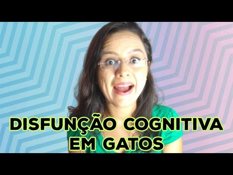 Síndrome da Disfunção Cognitiva em Gatos 😿