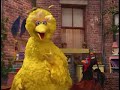 Sesame Street Anyone Can Crow