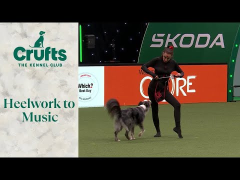 Heelwork To Music - Freestyle International Competition Part 1 | Crufts 2024