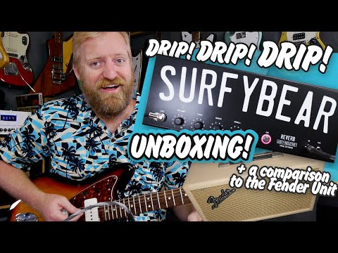 DRIP DRIP DRIP! Unboxing the Surfy Bear spring reverb + comparing it to a Fender 6g15 outboard unit