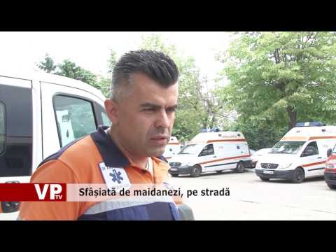 Sfâșiată de maidanezi, pe stradă