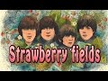 Земляничные поля, Strawberry fields, irishkalia 
