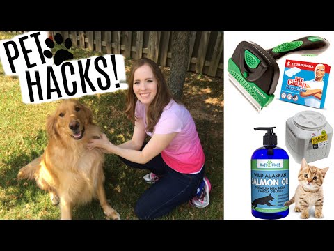 LIFE HACKS FOR PET OWNERS! | Pet Care Tips & Tricks! Video