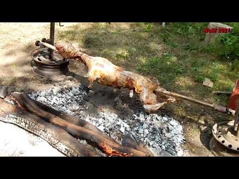 Mi drag da viaca-Paun Ilić-Tanda 2021.1