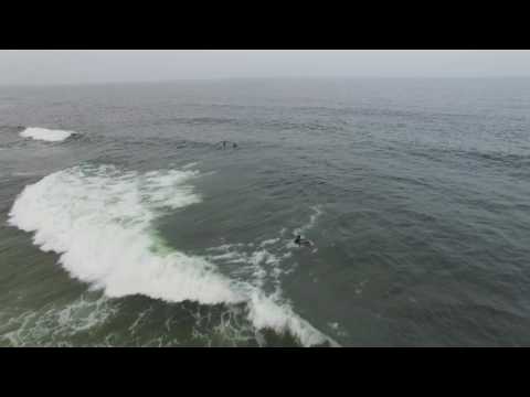 Drone footage of surfers at Bradley Beach