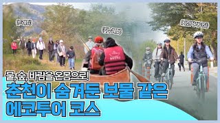 타고, 걷고, 느끼고! 춘천 에코투어/ 지금은 지방시대 / G1방송 / 251112